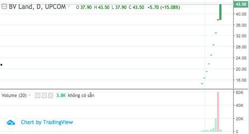 低估的网红股,投资新宠还是陷阱？