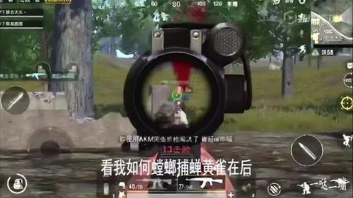 小呆瓜吃鸡视频,趣味横生的欢乐之旅